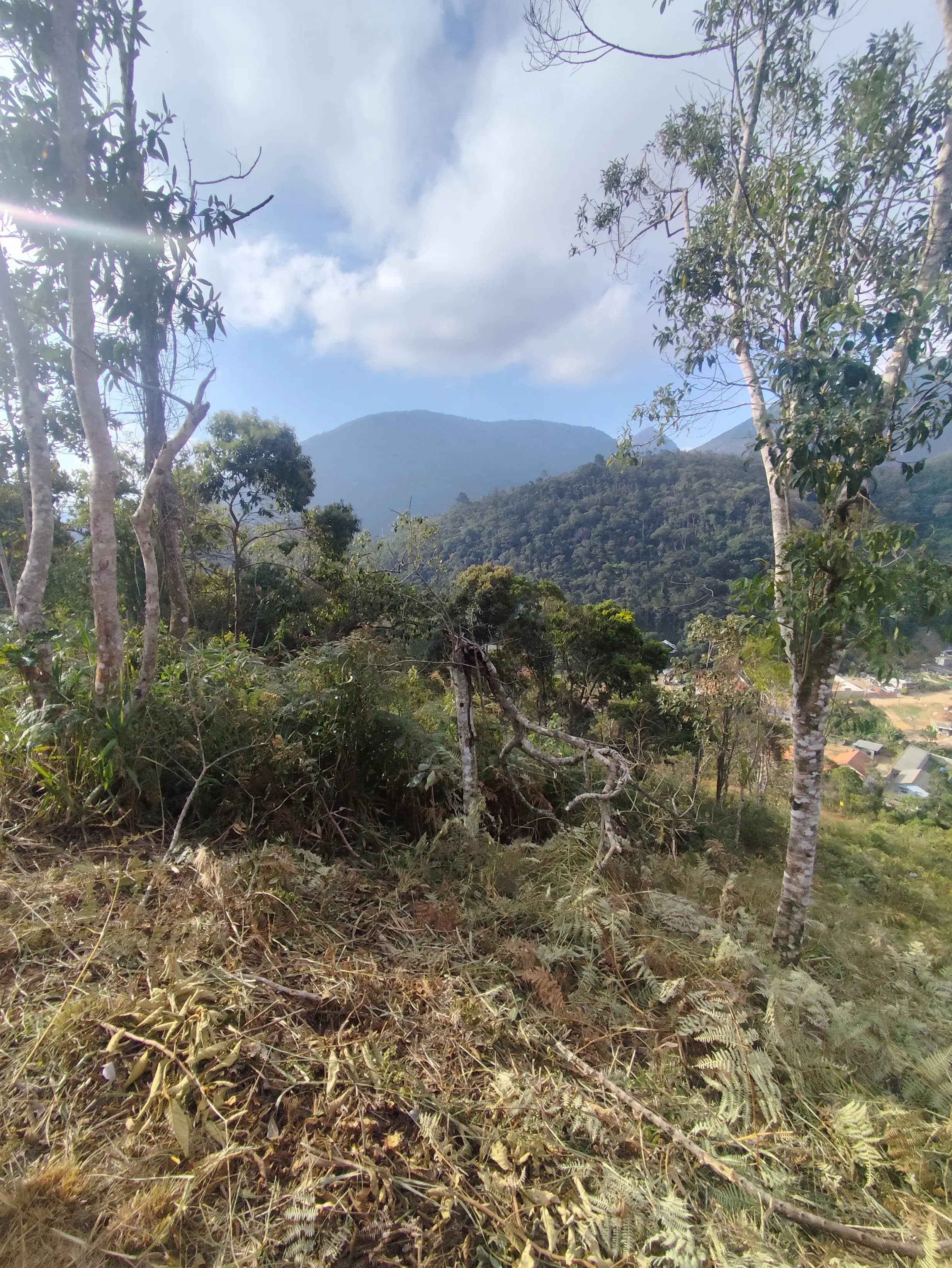 Terreno — Terreno com vista para natureza em Albuquerque