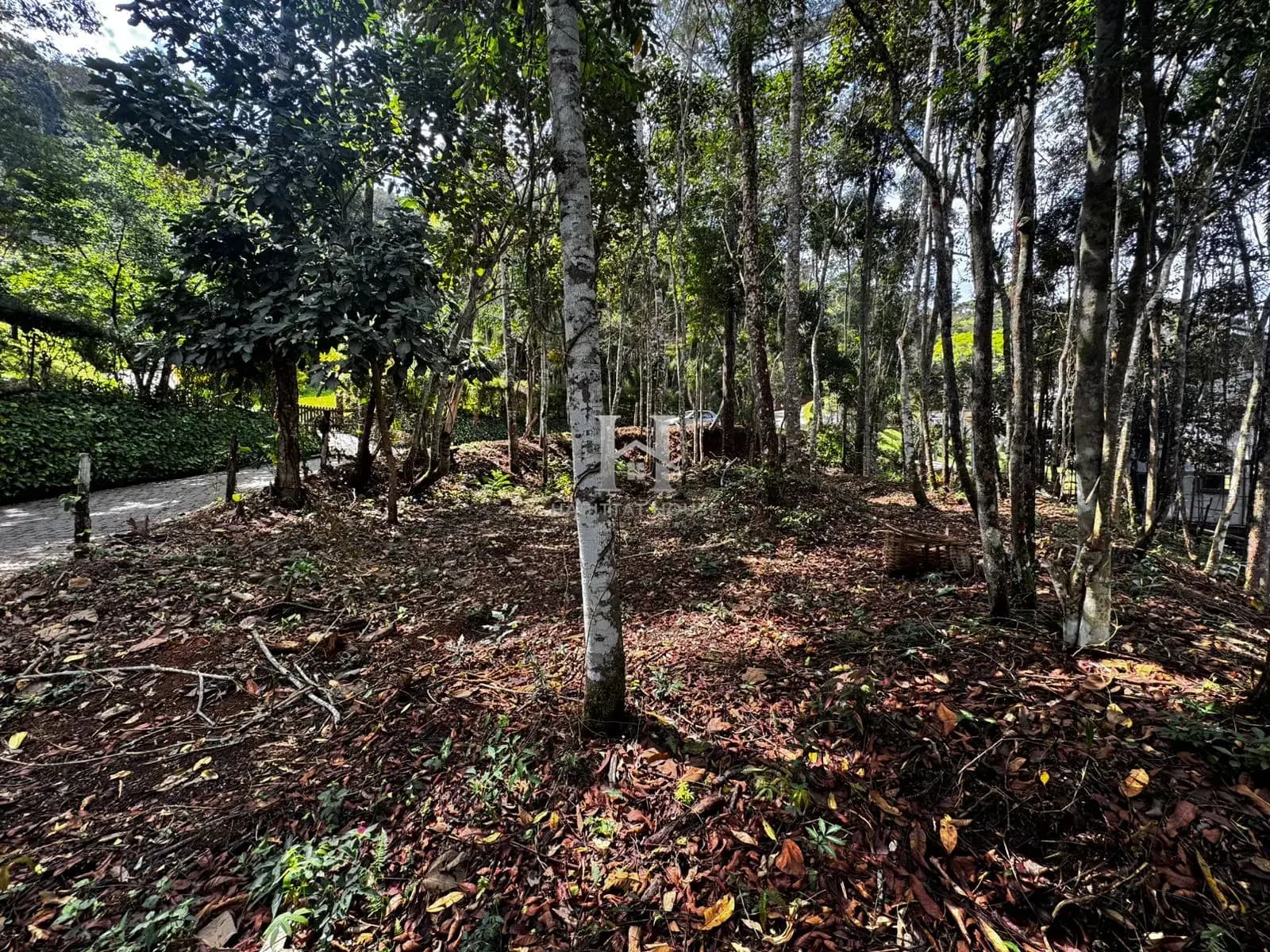 Terreno — Lote Alto Padrão em Parque Do Imbui